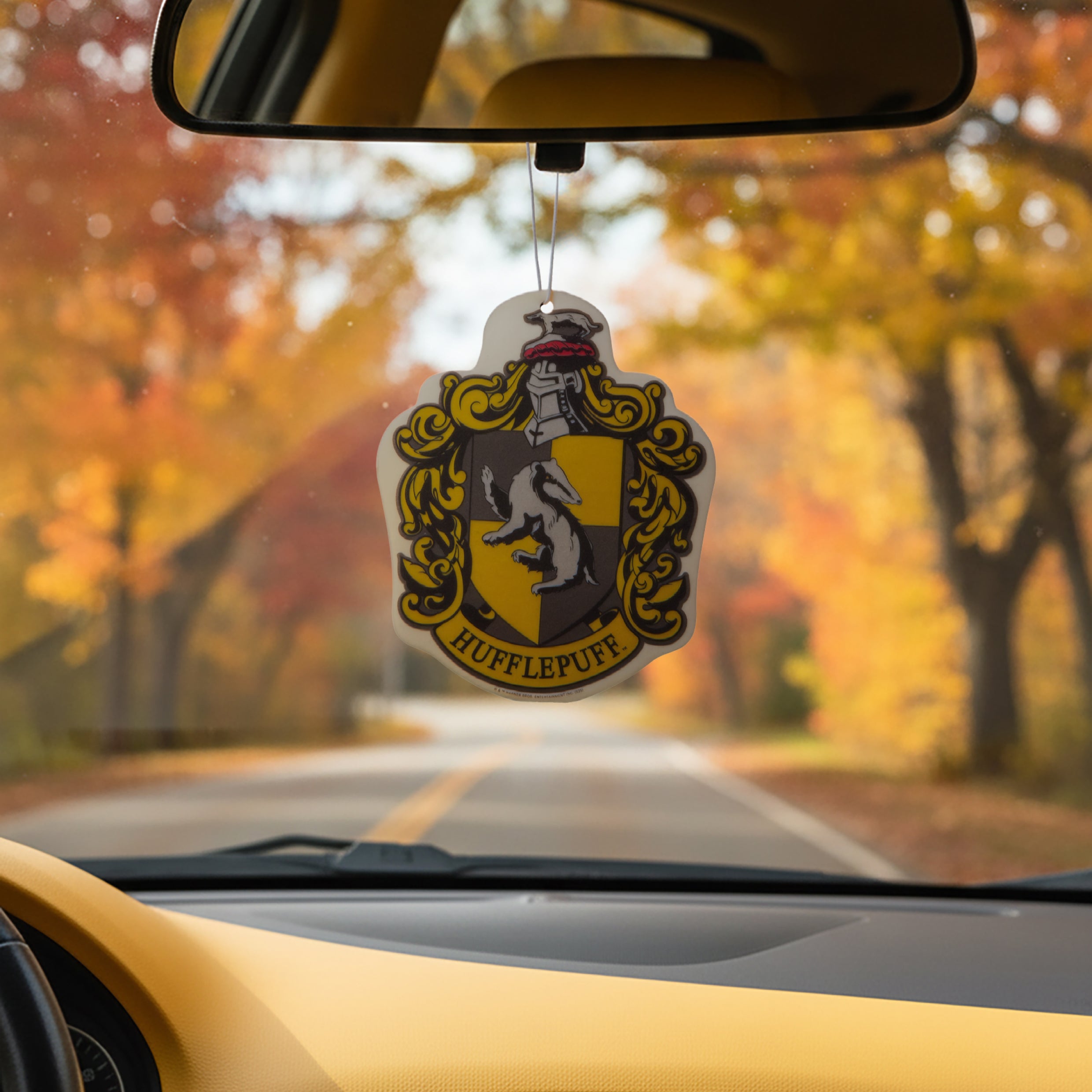 PDP-Hufflepuff-3.jpg